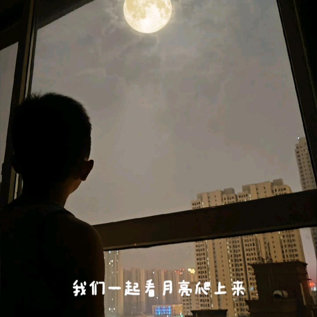 佳乐宝