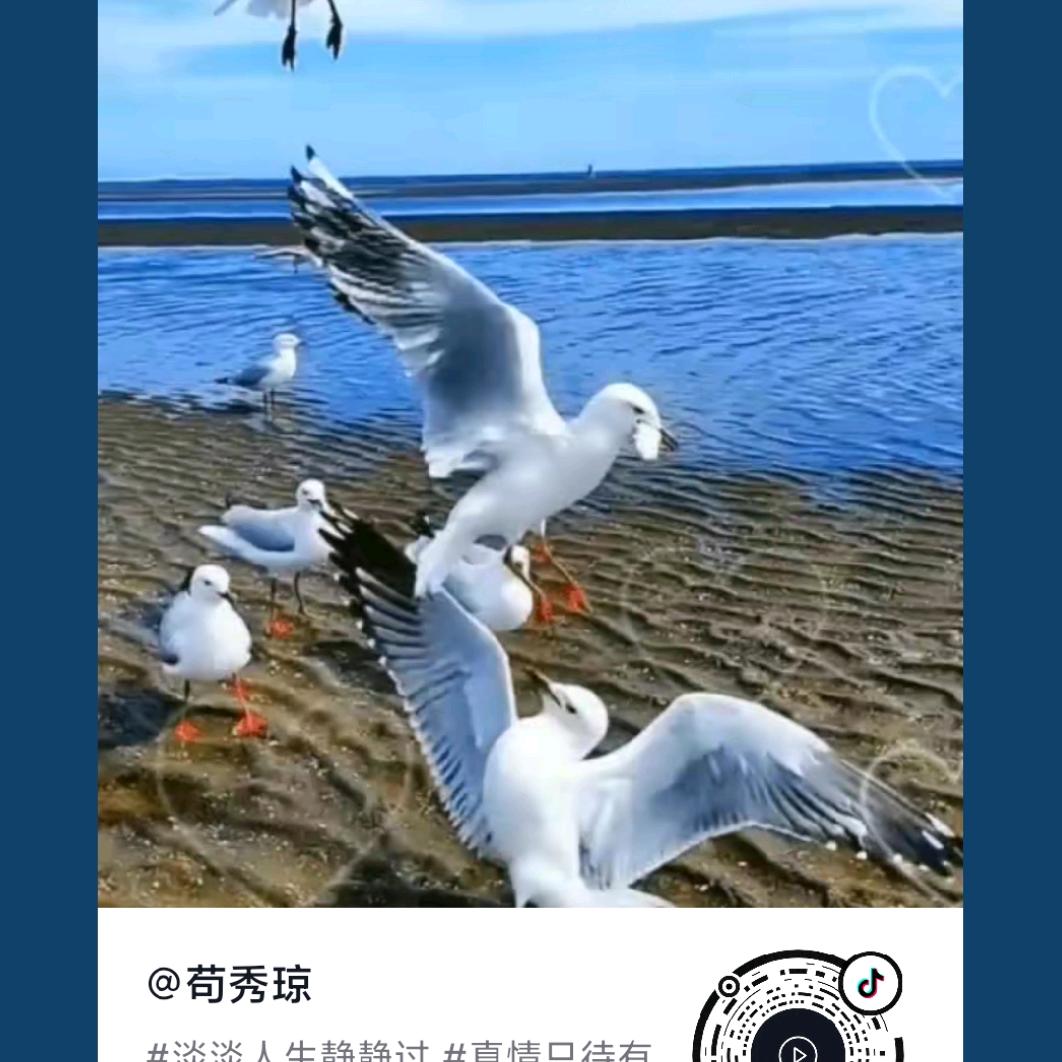 聚立吊篮租赁