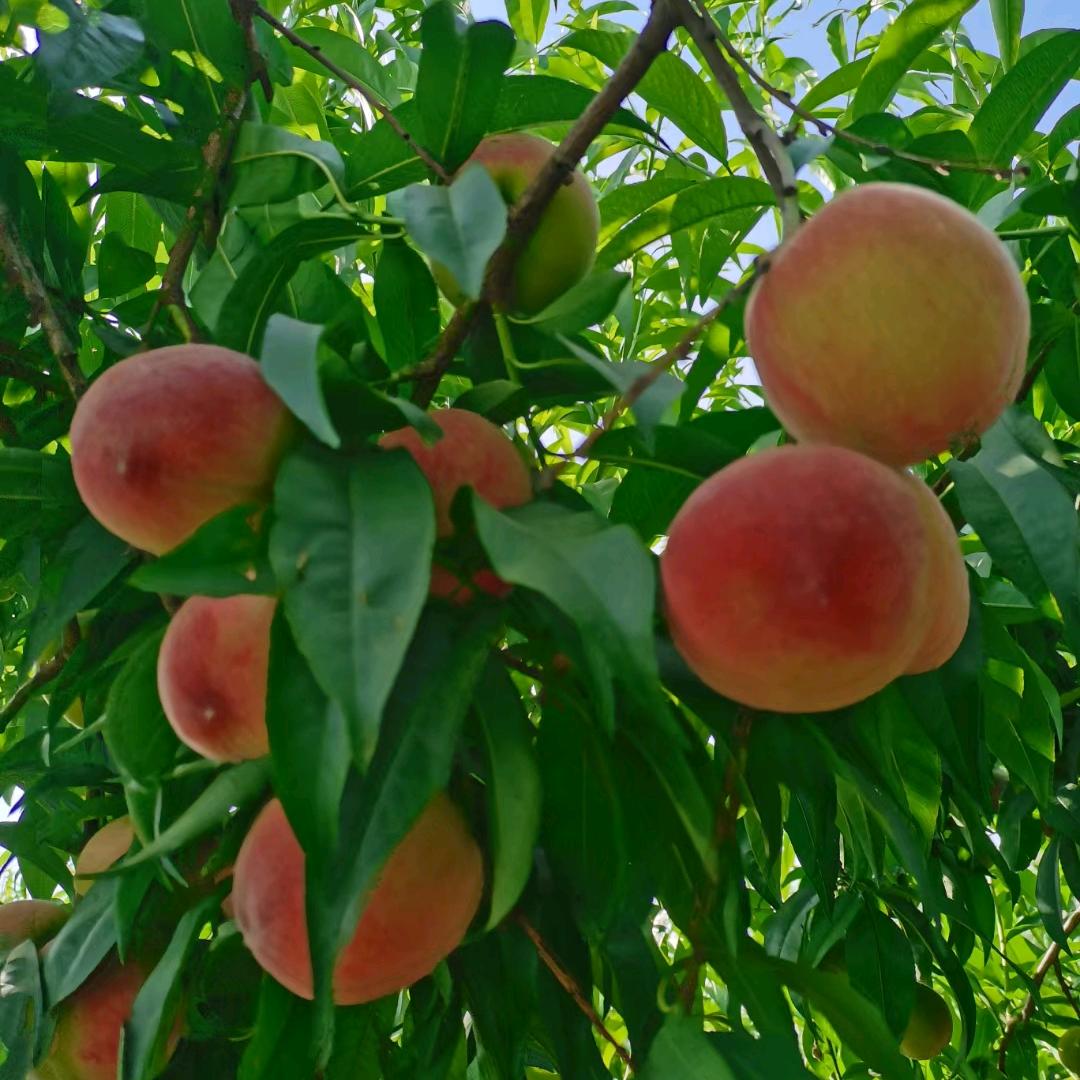 全屋定制，一站式整装