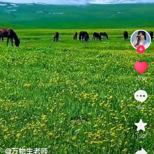 莲香