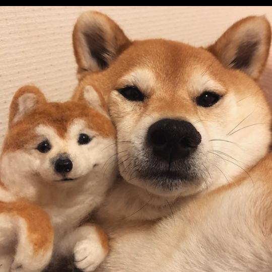 君莫笑头像