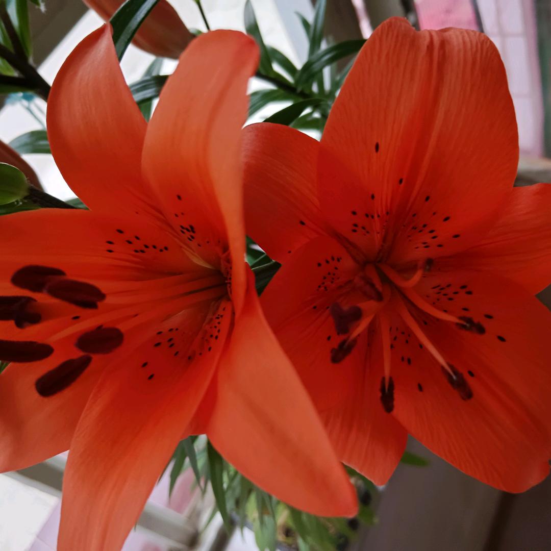 家;有二百万(连赞拉黑)