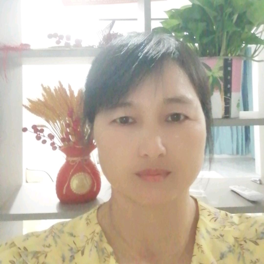 金凤凰@