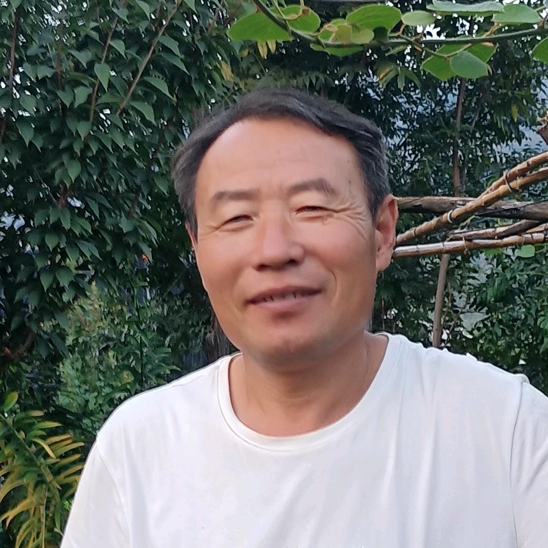 老高花卉（嫁接）