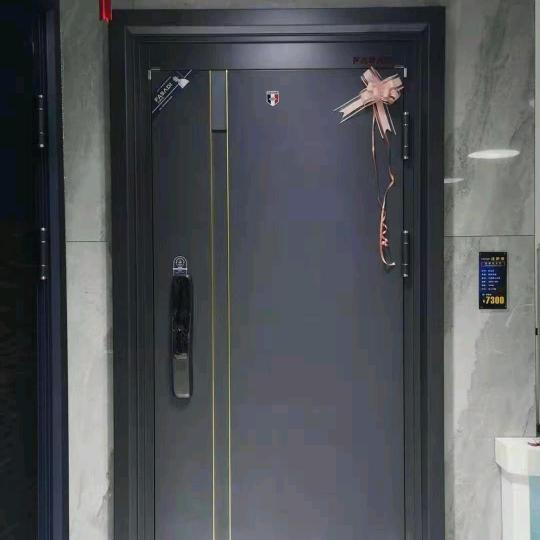 法萨蒂智臻防盗门