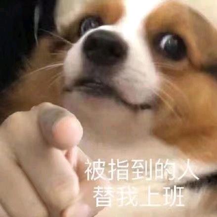 一个小彭友