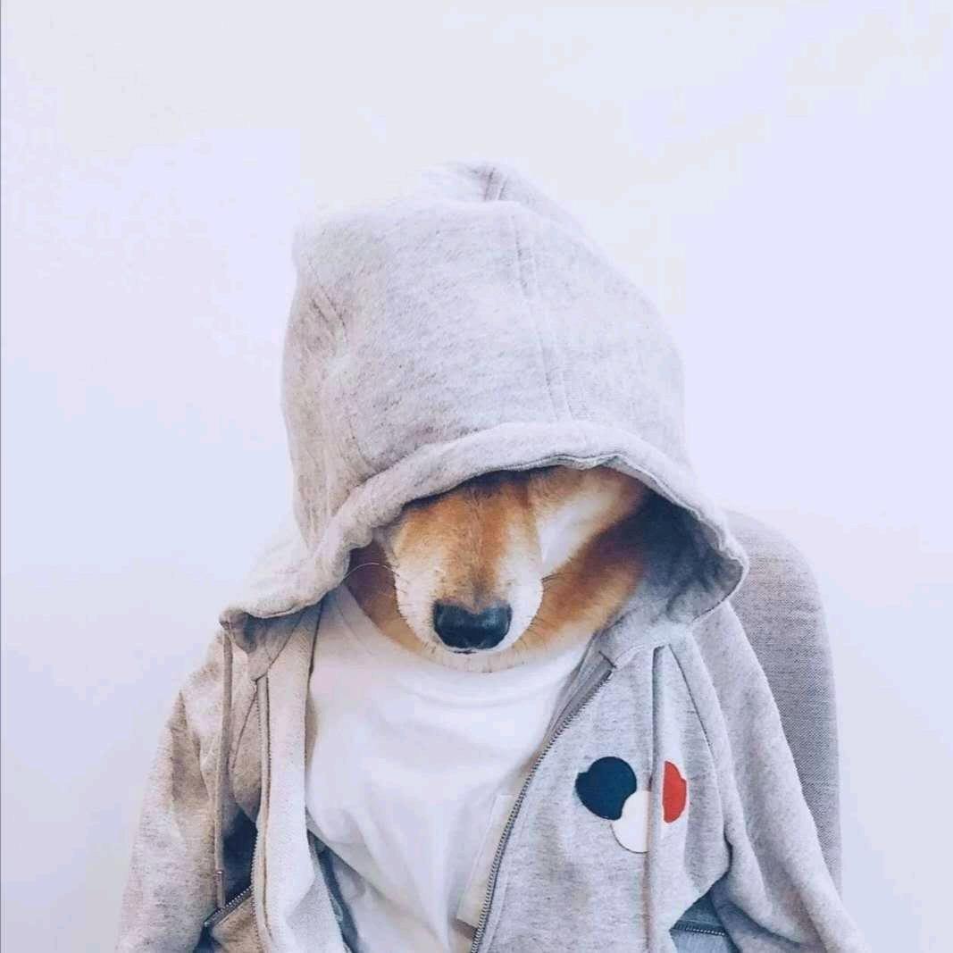 呆萌