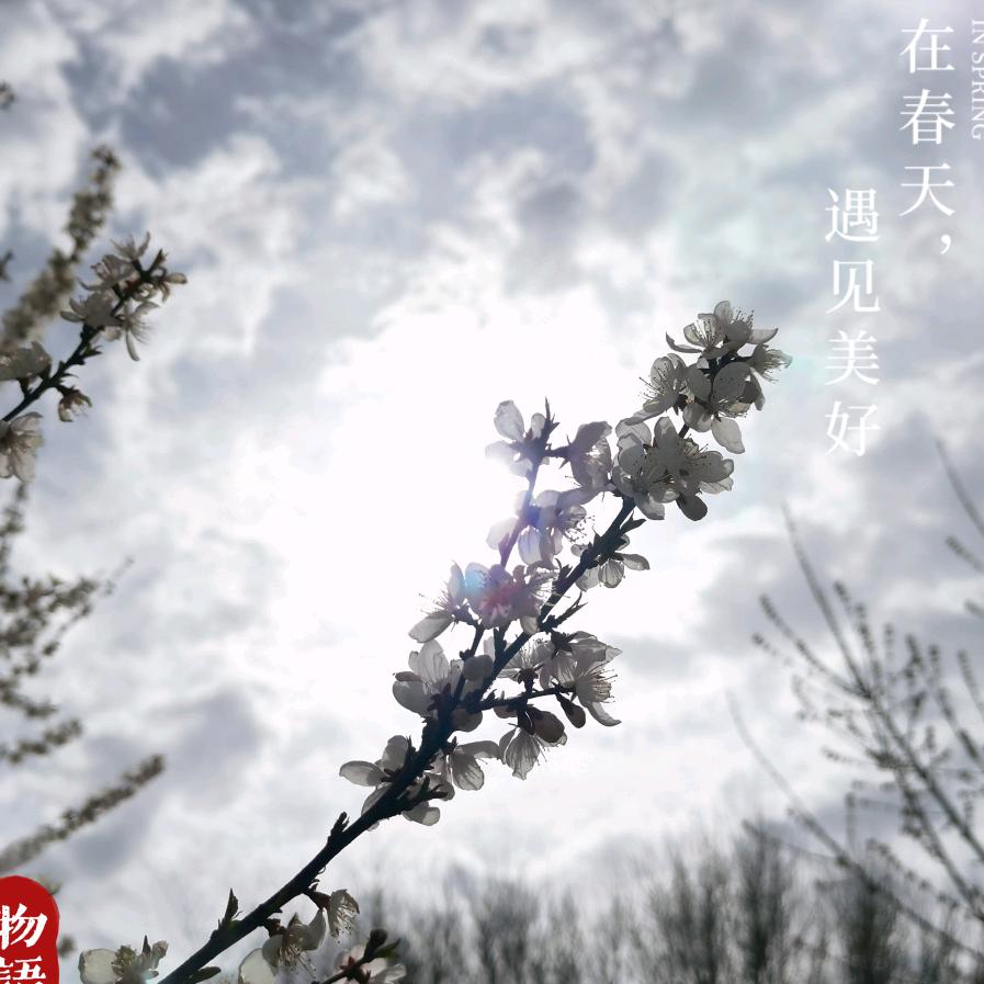 瞰天下