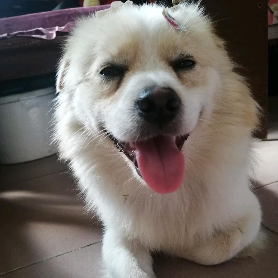 小可爱⭐️