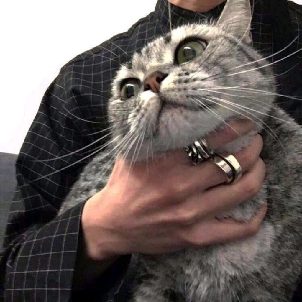 এ爱李不李 ꦿ༊
