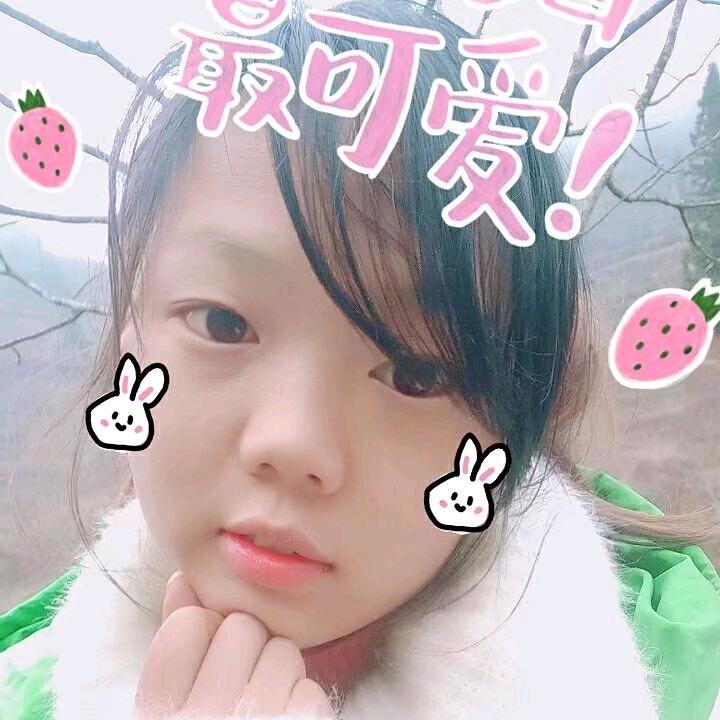 貓媛