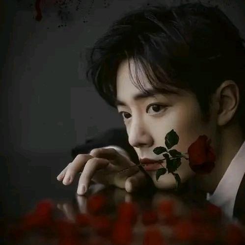 🌸🌸🌸*蓝雨*🍀🍀🍀