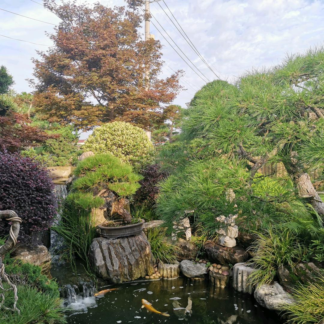 上海木易园林景观设计有限公司