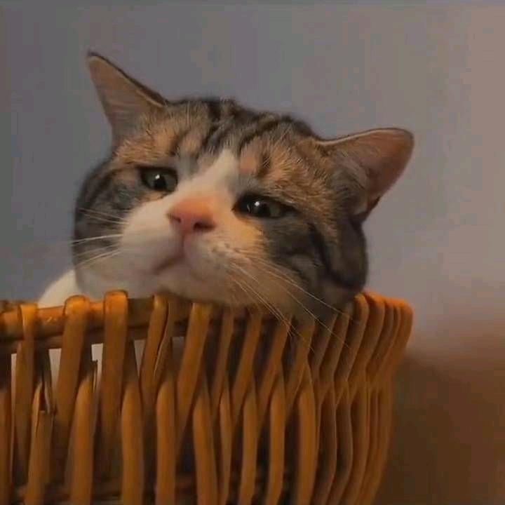 你不像任何人