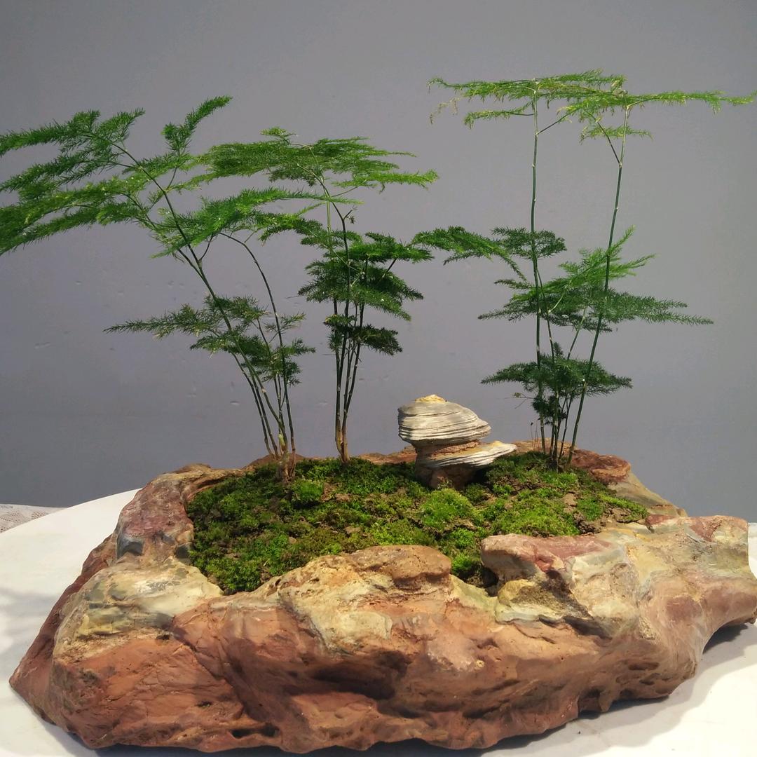 灵璧石雅
