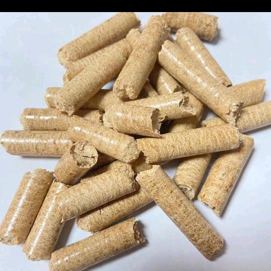 漳州森杰新能源科技有限公司