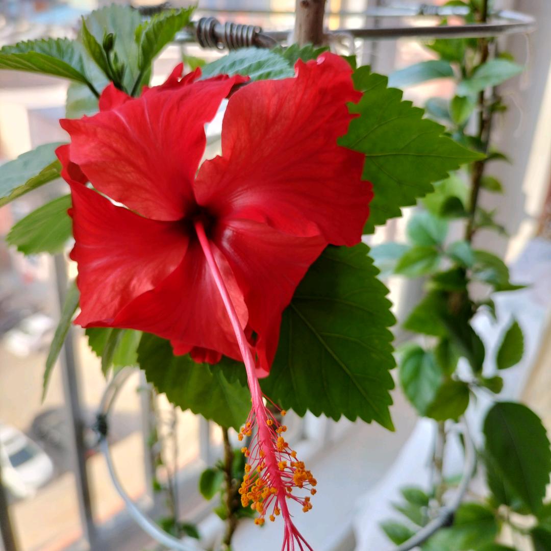 萍水相逢“”