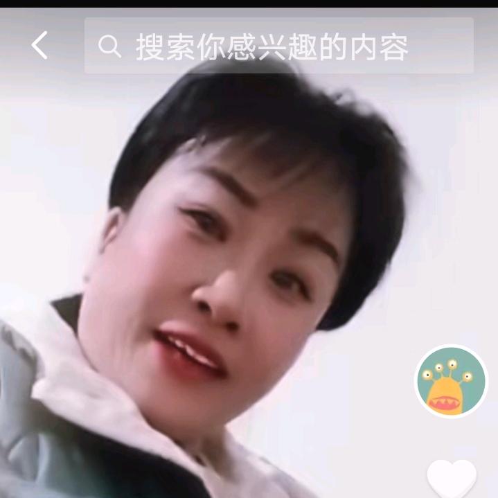 海鸥