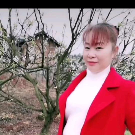 完美