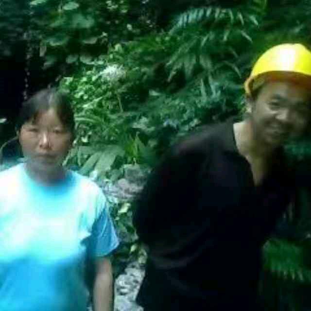 厨房排烟系统