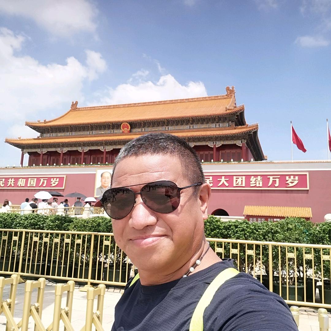 草原上的骆驼