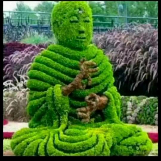 最强凹凸