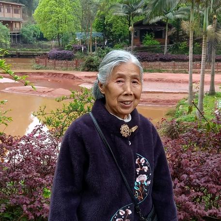 莲花.
