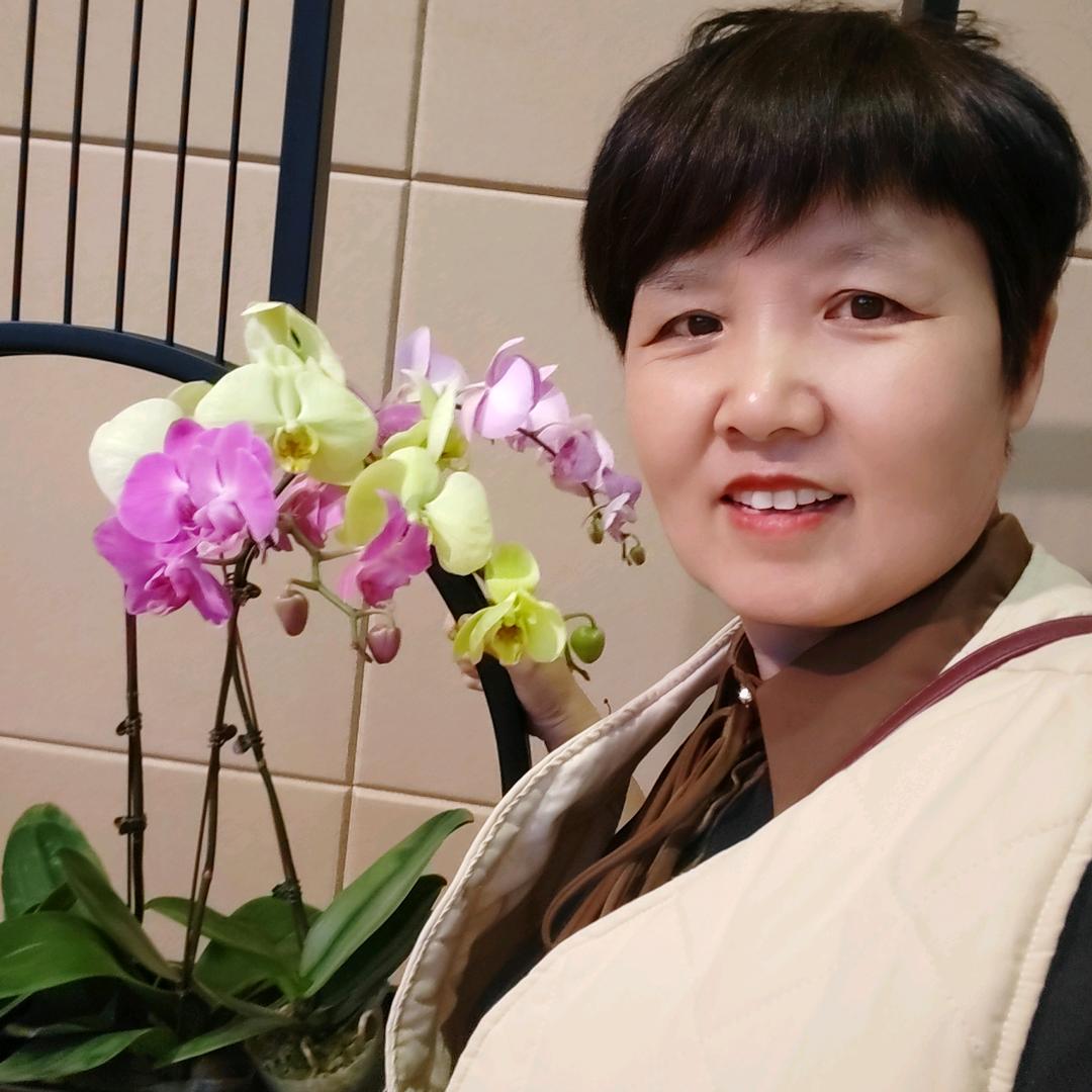 陈三姐