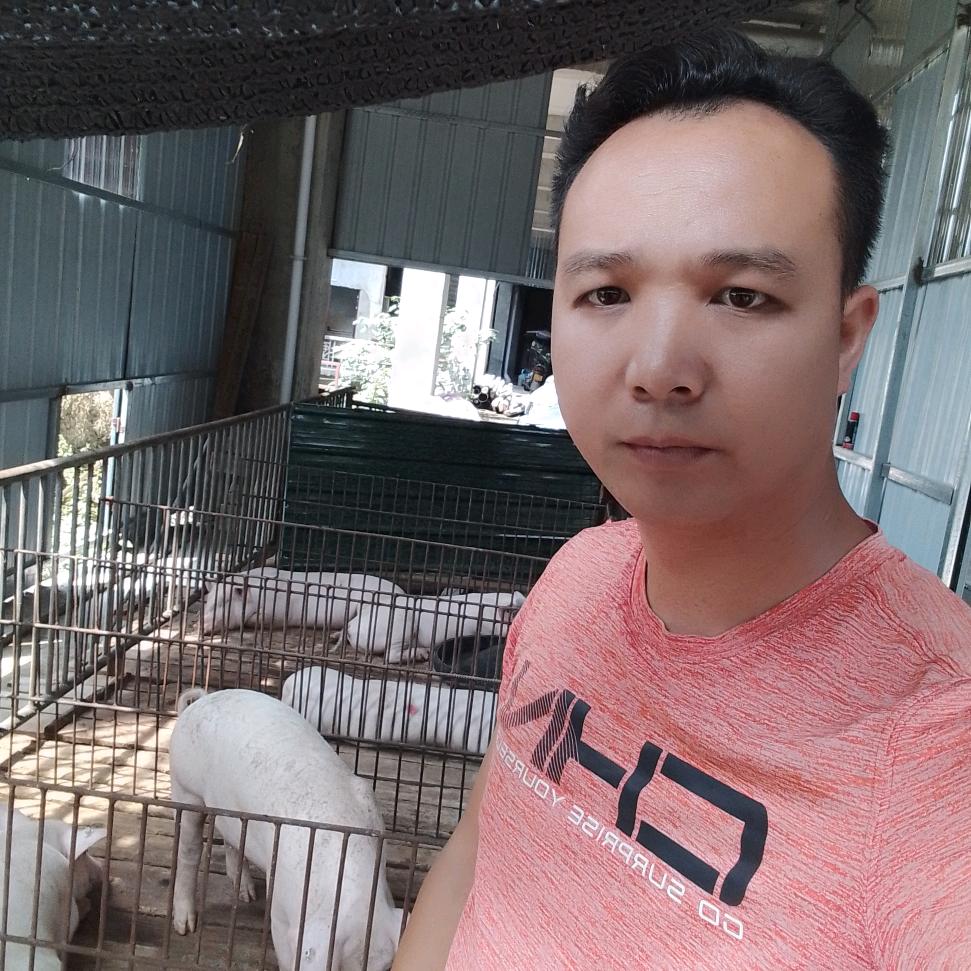 卖猪的（猪猪侠）