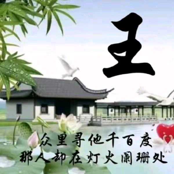 吃不饱的香菜
