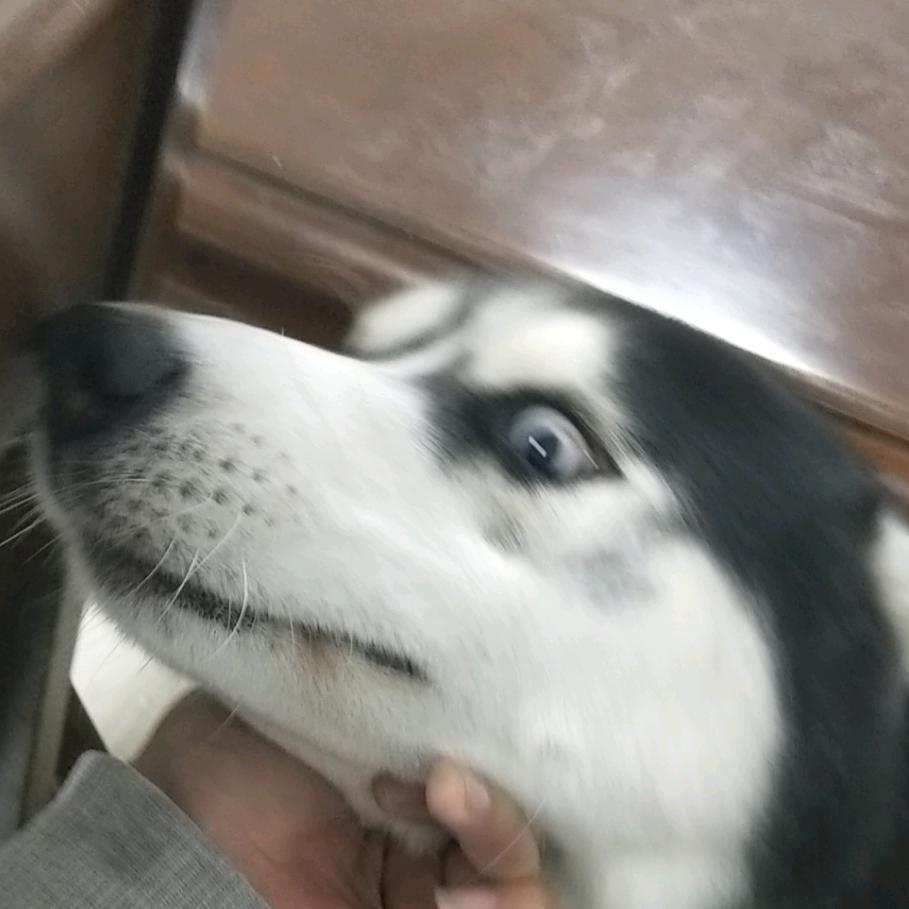 哼里个哼