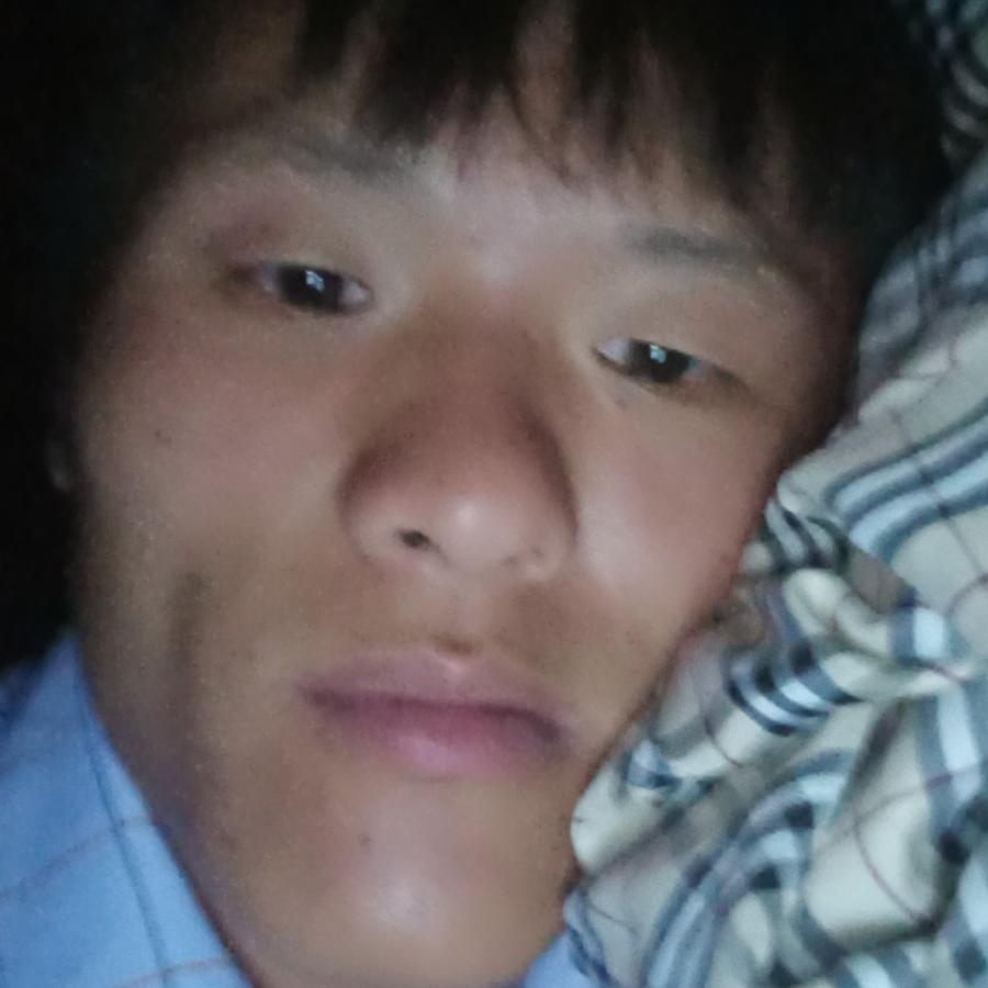 美丽的草原