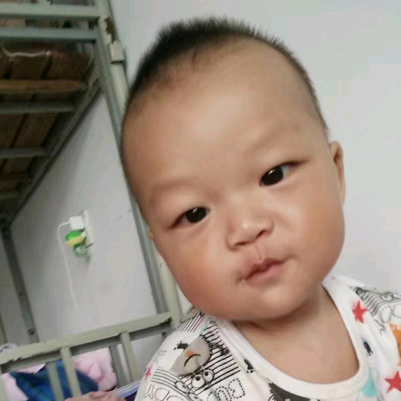 刘刘
