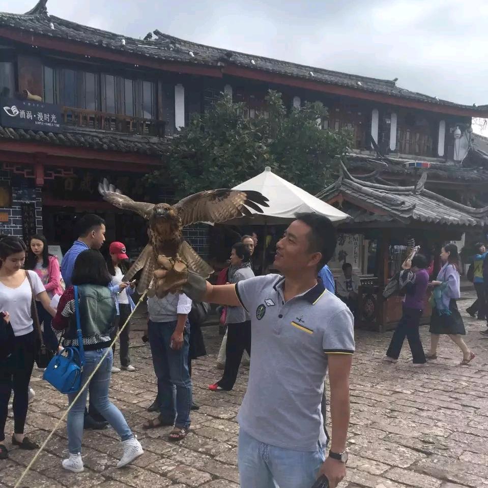 王发叶