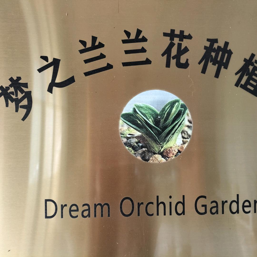 梦之兰兰花种植苑