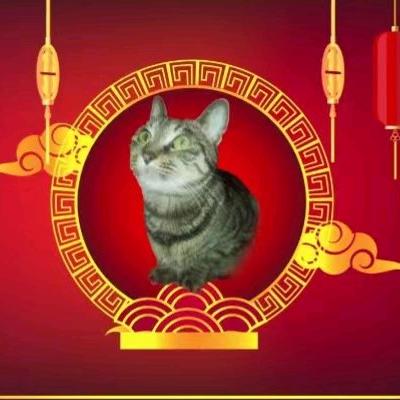 情深瑥玉