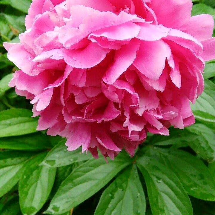 用户327478412234明天会更好