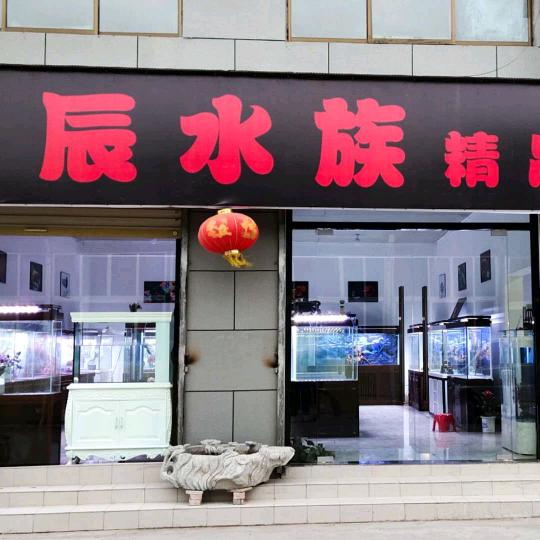 徐州龙辰水族-森森.睿美.仟湖