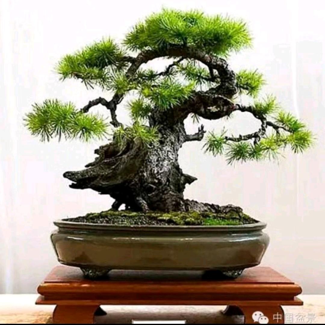 发烧.怀旧.KTV.MP4.音乐