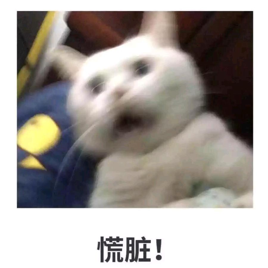 冷心