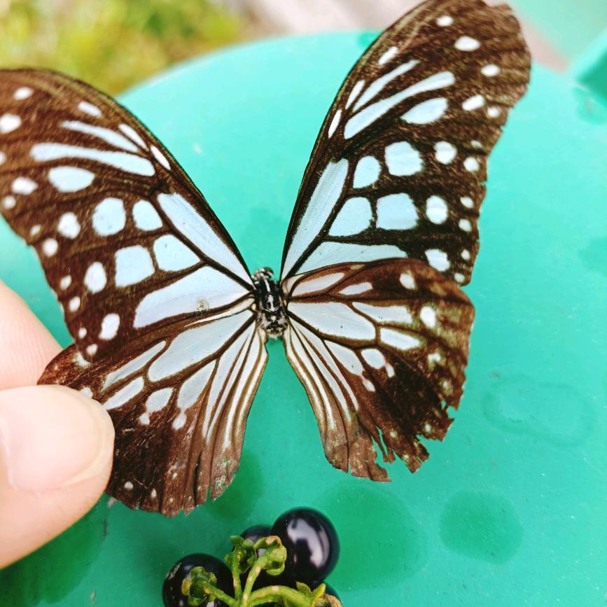 ^O^  礼 貌 退 场  (>_<)