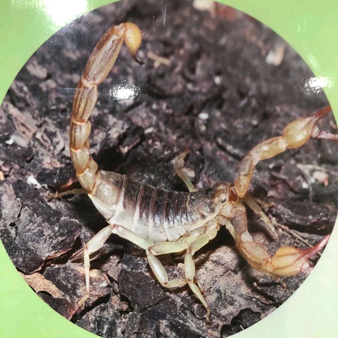 星悦养殖场