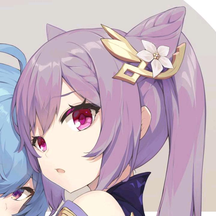 爱吃金丝虾球的刻猫猫