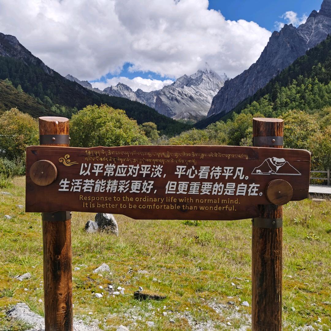 张旭东