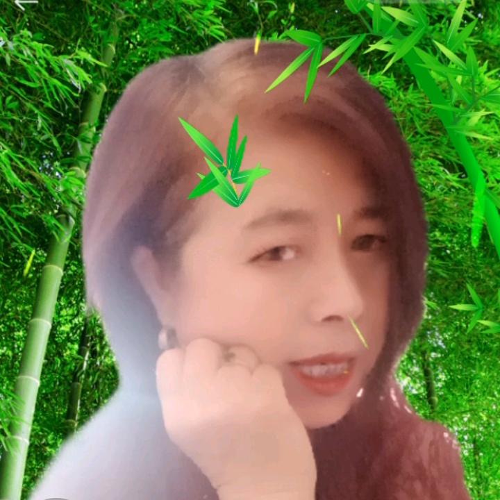 髙金凤