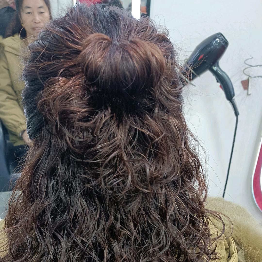 铁树开花马生角