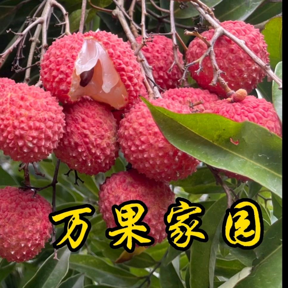 万果家园