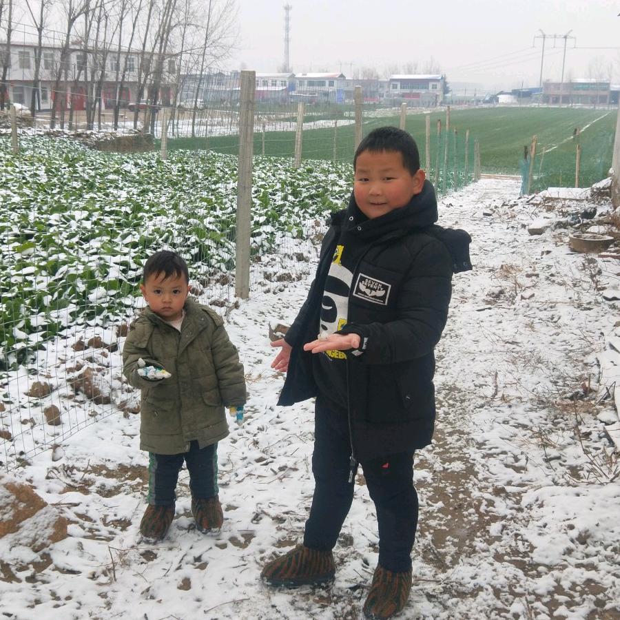 雪在火中飞