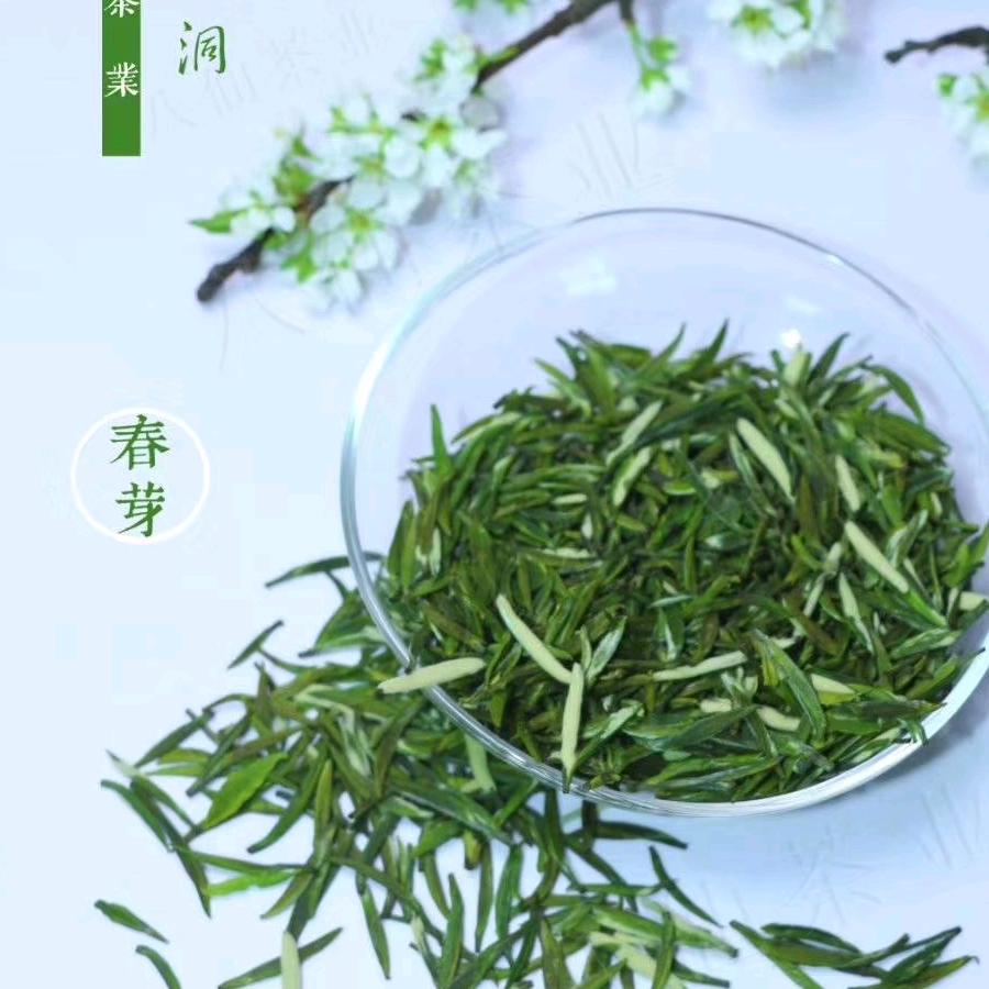 太青八仙茶业朱南山