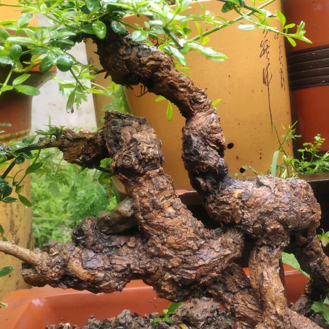 落魄的人